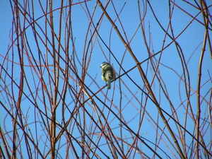 P1170059