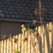 P1170068