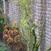 P2020036