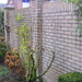 P2020035