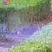 P2130002