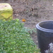 P2130005