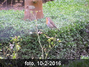 P1010005