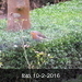 P1010007
