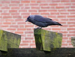 P2280011