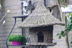 P3030011