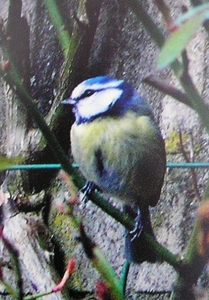 P3150004