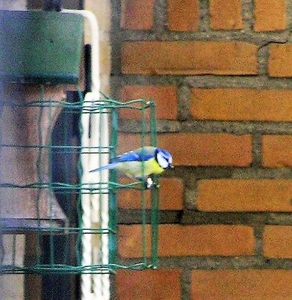 P3150007