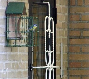 P3150011