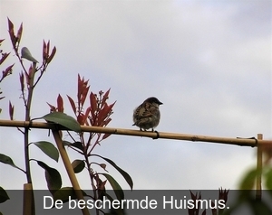 P3300011