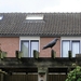 P5010001