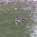 P7190004