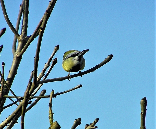 P3190005