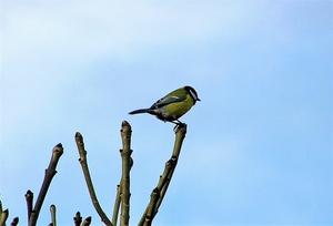 P3300008
