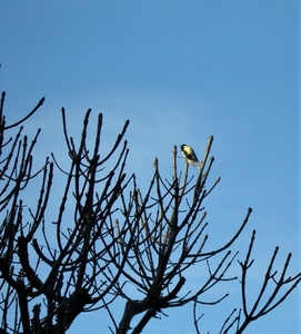 P2260784