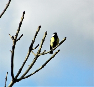 P3080020