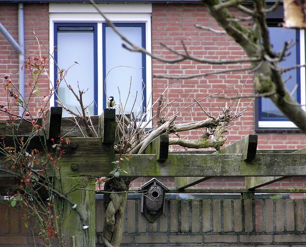 P3090012