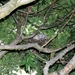 P7252870