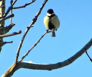 P2110012