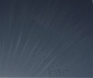 20210221_155111