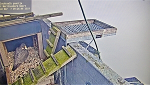 P3070001