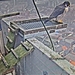 P3090003