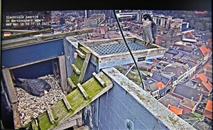 P3100015