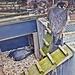 P3120025