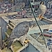 20210501_094526