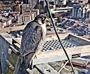 20210503_090815