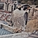 20210503_190513