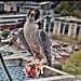 20210510_202701 (2)