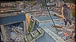 20210511_202945