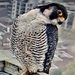 20210515_074059(0)