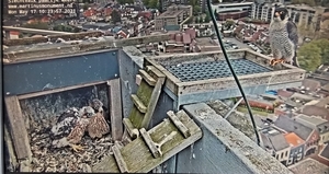 20210517_102416