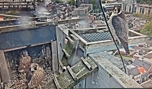 20210519_153327