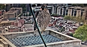 20210527_203703