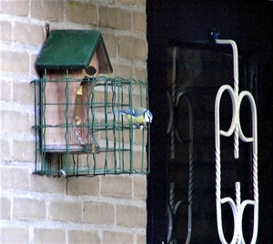 PC020005