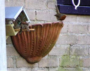 PC020002