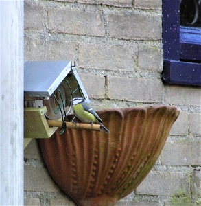 PC020013