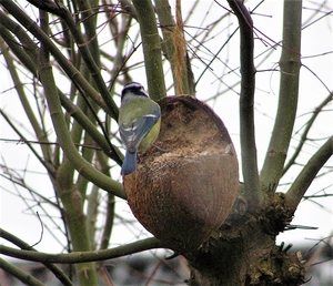 P2040008