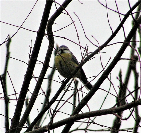 P2040010