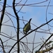 P2050003