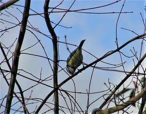 P2050003