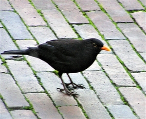 P2070004