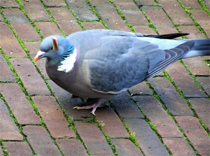 P2110008