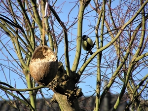 P3110015