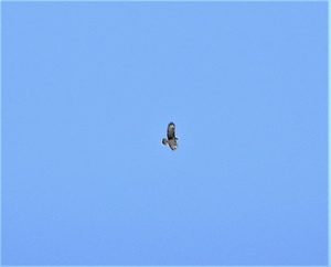 P9220029