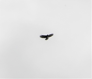 P9230005