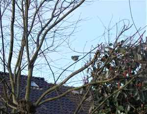 P2044707